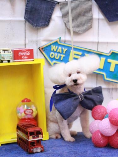 20230425あんちゃん